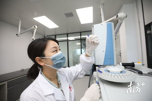 金灣生物醫(yī)藥產(chǎn)業(yè)研究院試運(yùn)營 開啟全鏈條新藥研發(fā)服務(wù)新篇章